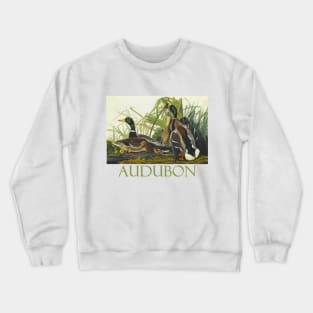 Mallard Duck by John James Audubon Crewneck Sweatshirt